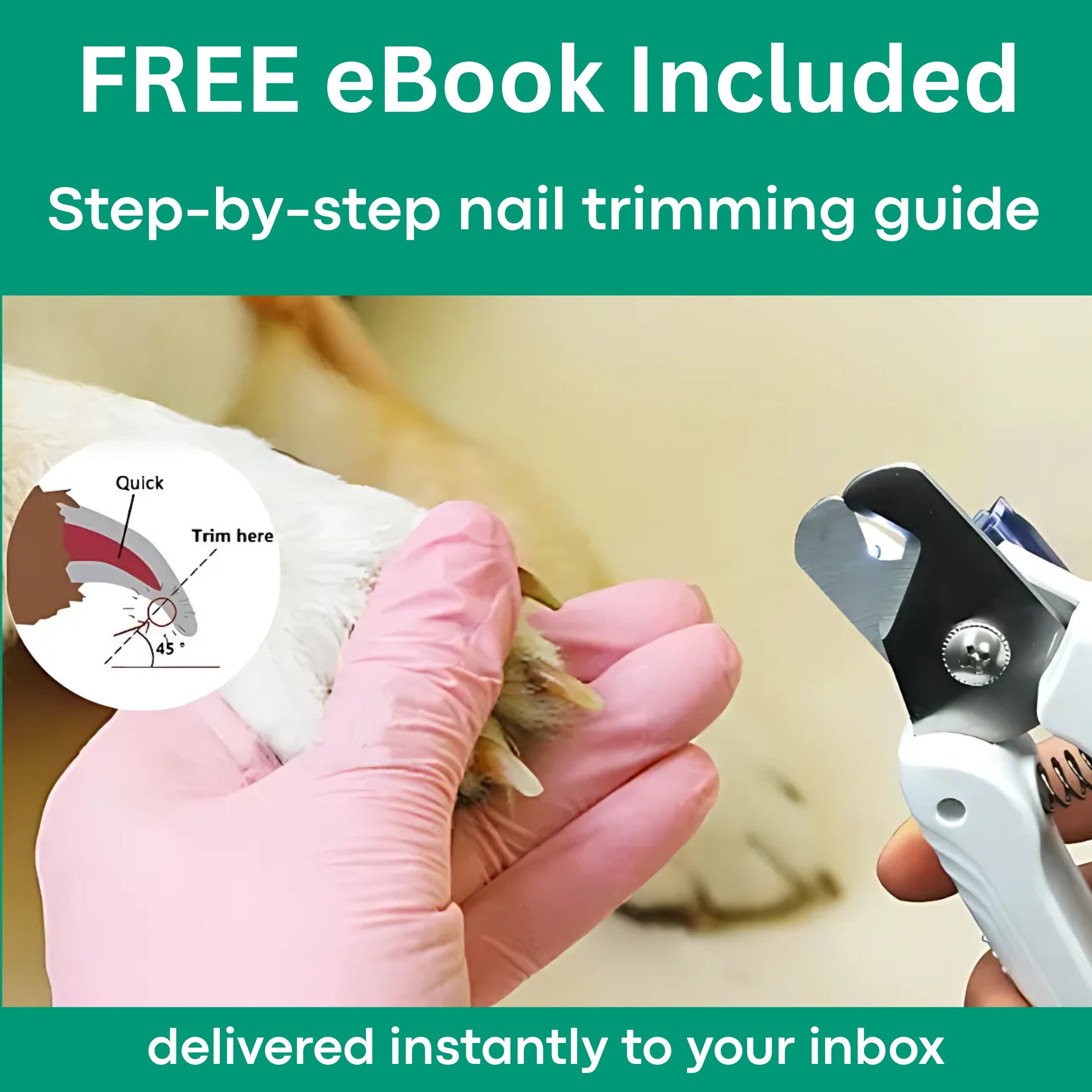 Trim With Confidence and Precision – Fearless Grooming Tool