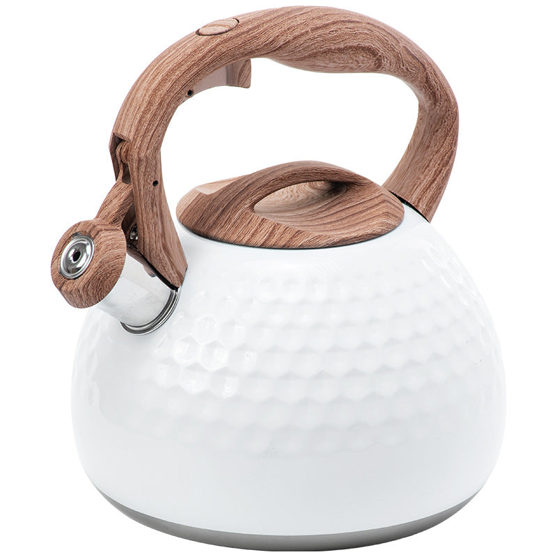 Elegant Stainless Steel Whistling Kettle – 2.8L Capacity