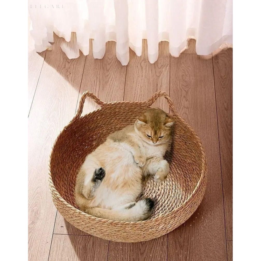 Plush Retreat Cat Bed for Ultimate Comfort
