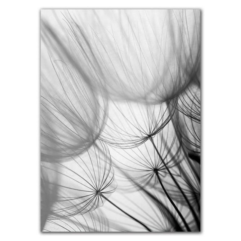 Dandelion Serenity Canvas Art – Unframed Cotton Print