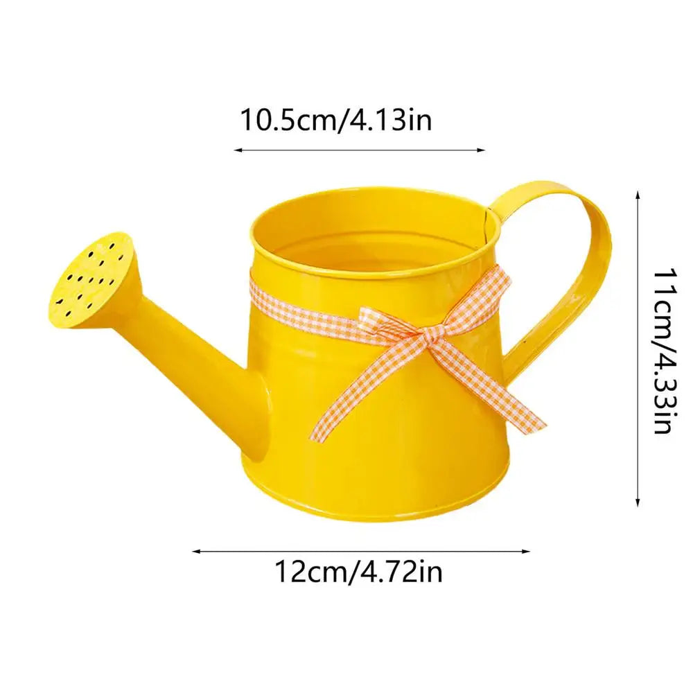 Decorative Metal Watering Can with Gentle Spray Head – Eye-Catching Design