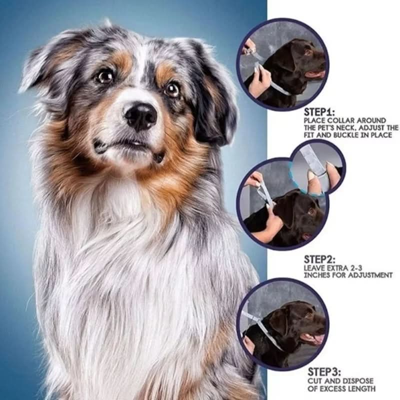 Ultimate Pest Defense Collar for Cats and Dogs