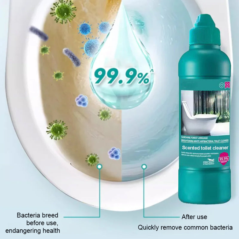 Fragrant Toilet Cleaning Gel with Precision Nozzle – Gel Formula, Forest Fresh