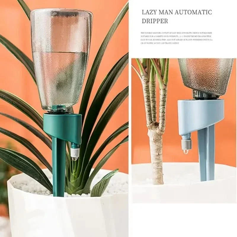Watering Spikes for Plants – Accurate and Effective Hydration