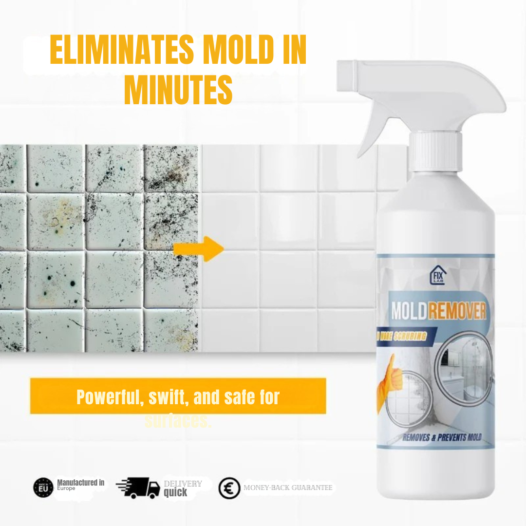 MoldVanish™ — Effortless Mold Erasure for a Healthy, Fresh Home You’ll Love