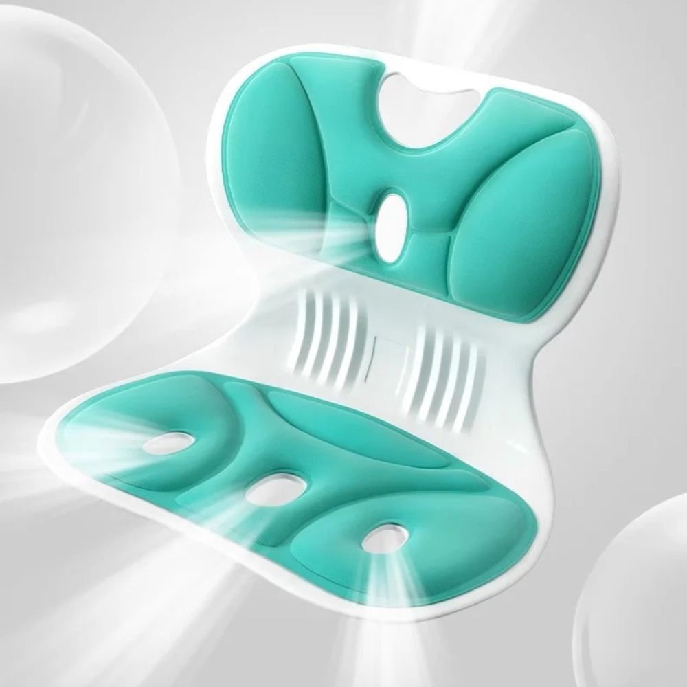 Ergonomic Lumbar Support Cushion with Adjustable Straps