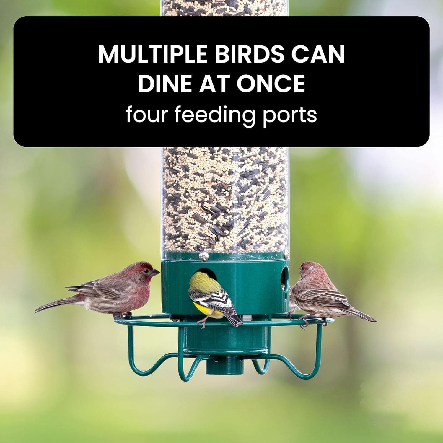 Squirrel-Resistant Bird Feeder with Weight-Sensitive Perch