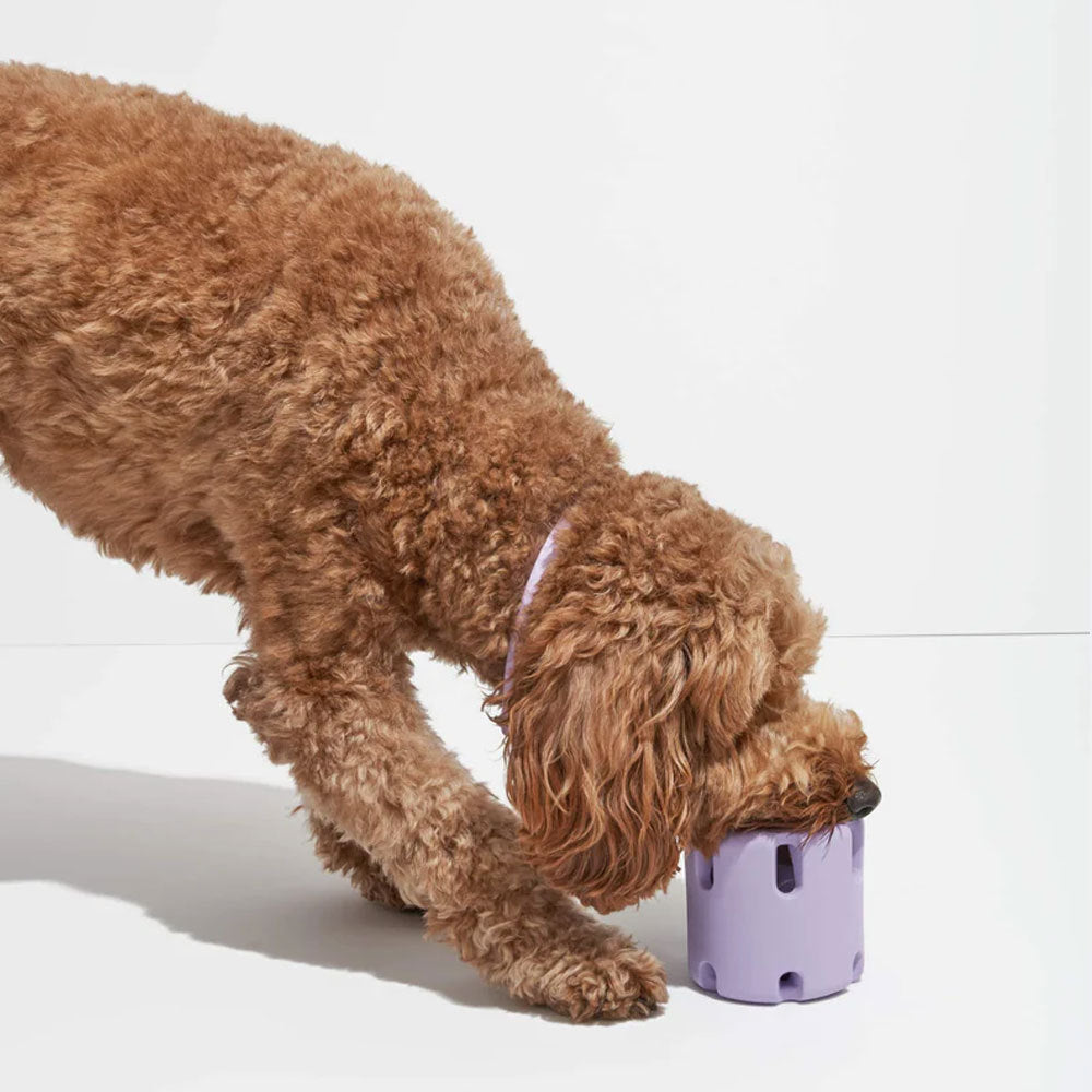 Tennis Ball Dog Chew Toy for Fetching Fun
