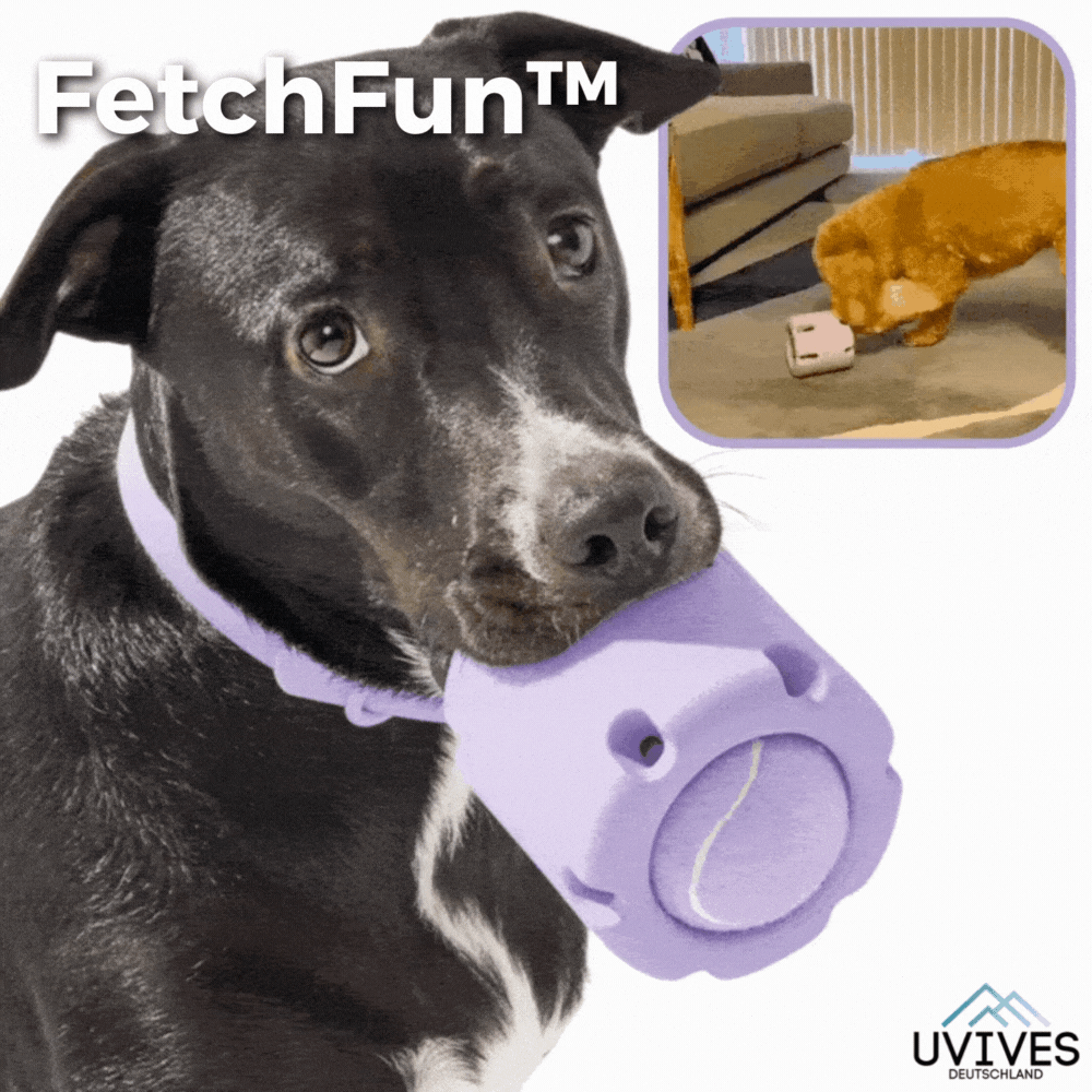 Tennis Ball Dog Chew Toy for Fetching Fun
