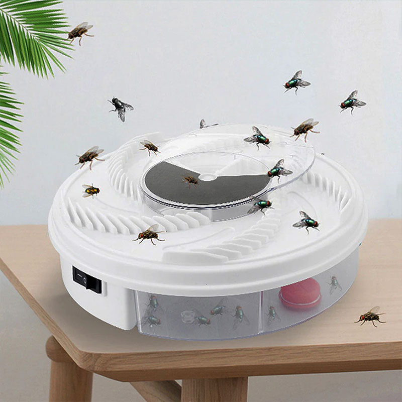 Silent Insect Trap | Chemical-Free Fly Catcher with Bait
