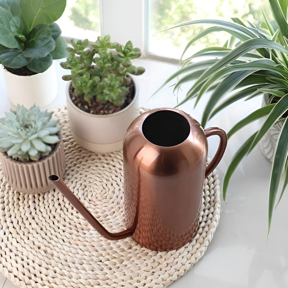 Elegant Stainless Steel Watering Can with Long Spout – 1.5L