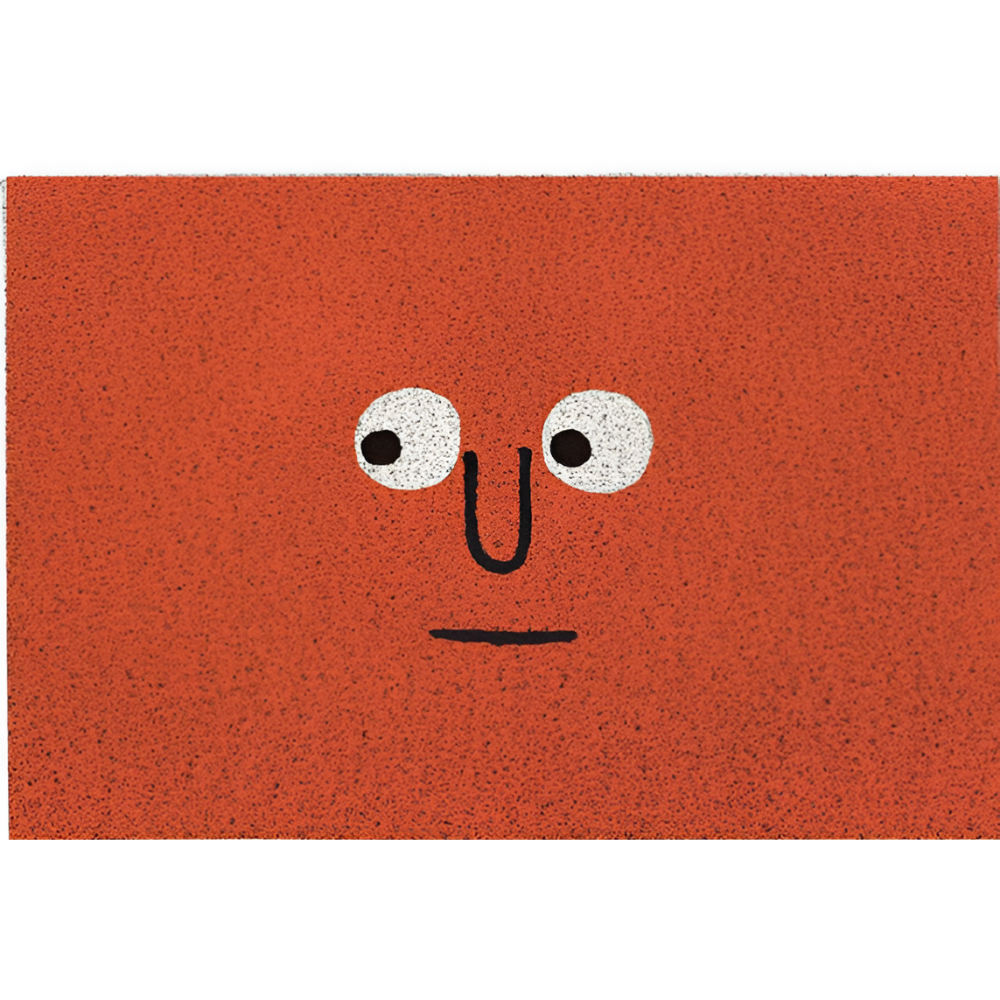 Non-Slip Door Mat | Absorbs Dirt and Moisture | Safe Grip