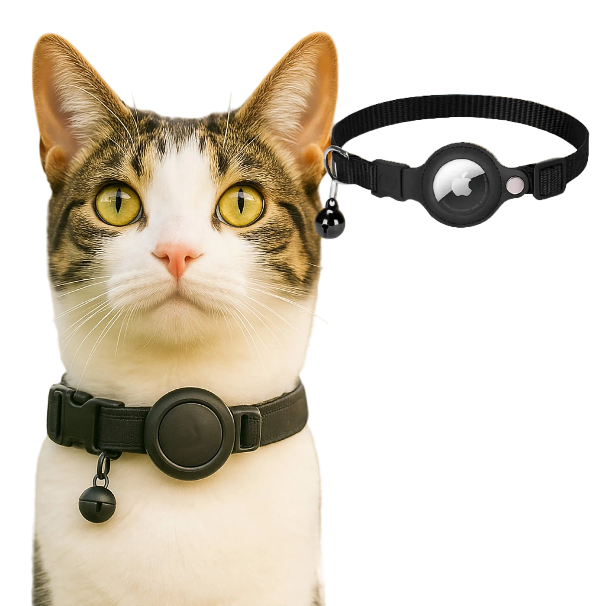 Adjustable GPS Cat Collar with Reflective Safety Closure