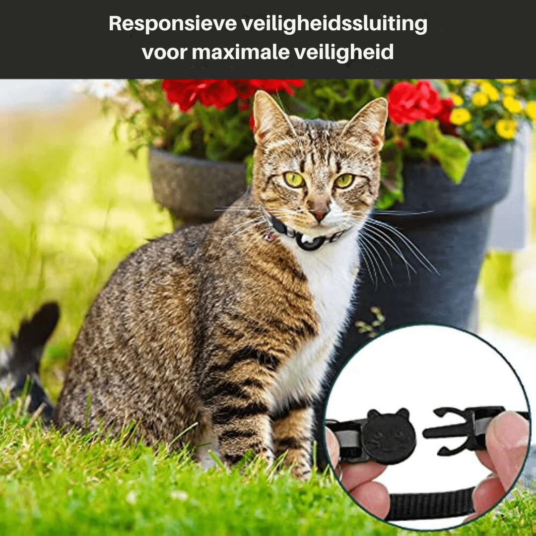 Secure and Visible GPS Collar for Your Adventurous Cat