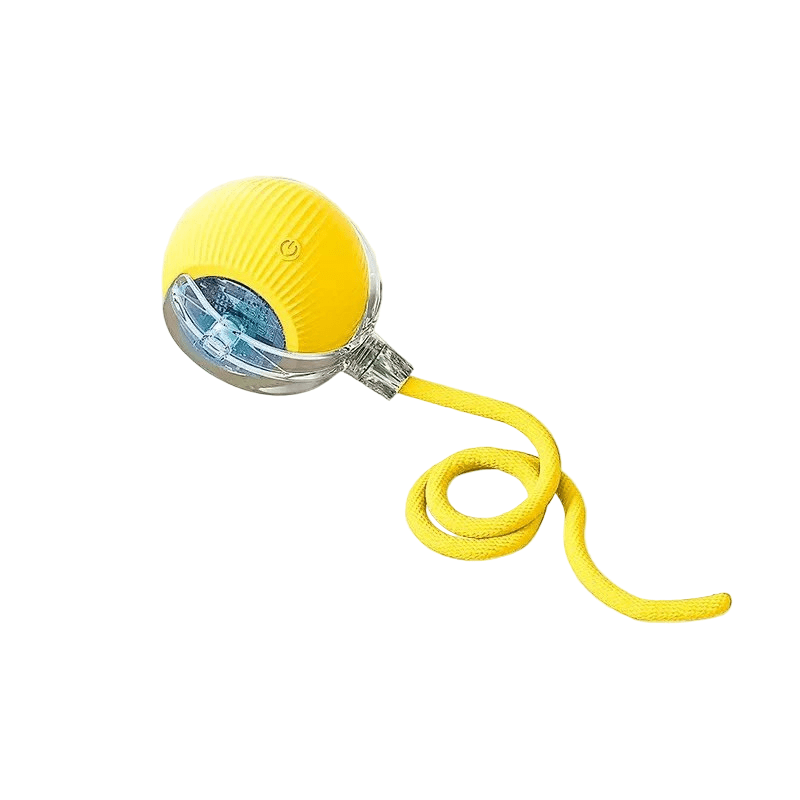 Rechargeable Playful Paws Ball for Dogs
