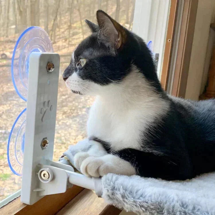 Cat Hammock - Last Day Discount for Happy Cats