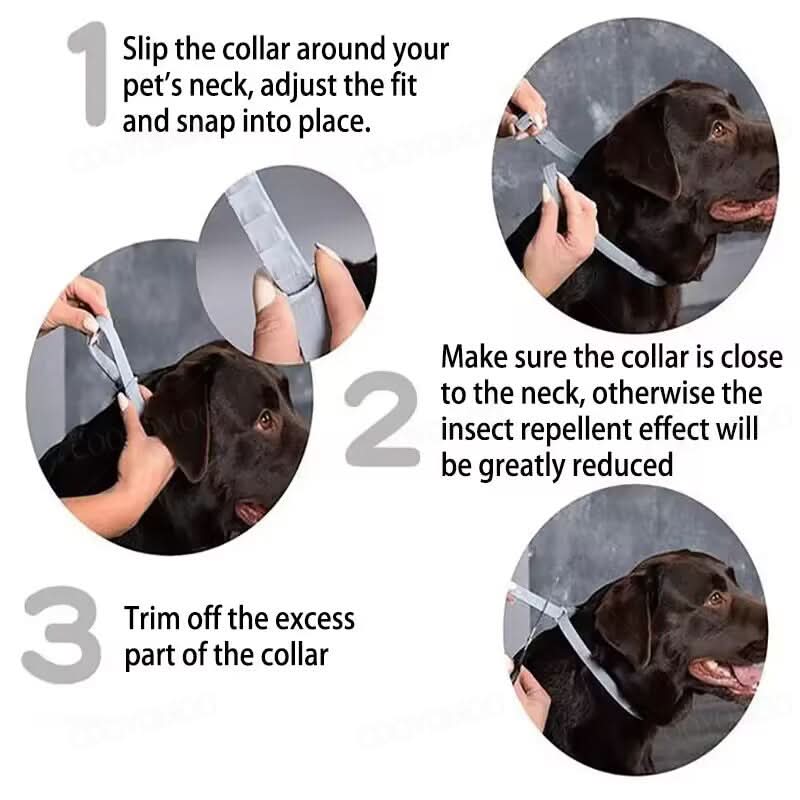 Ultimate Pest Defense Collar for Cats and Dogs