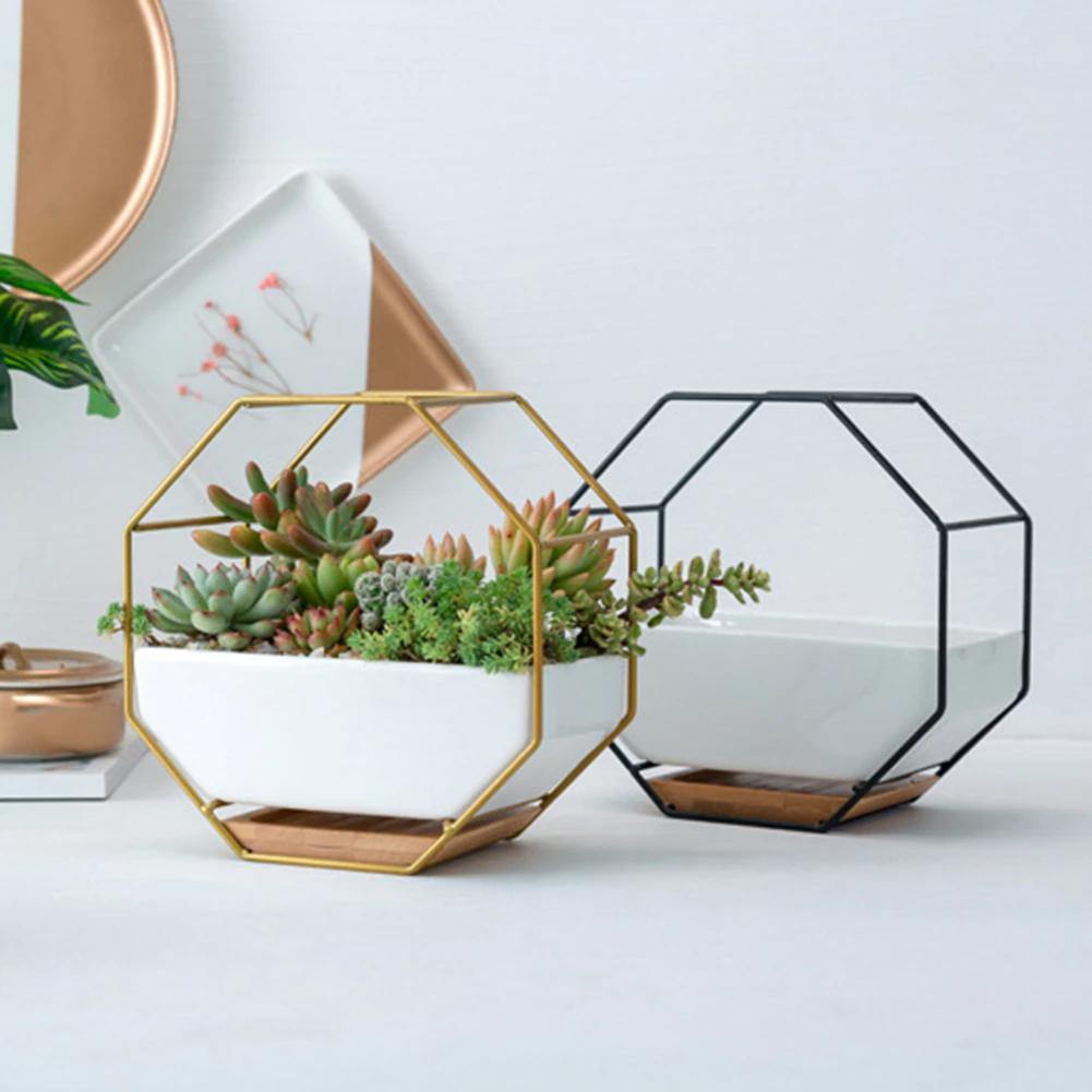 Stylish Indoor Wall Planter with Modern Frame and Tray