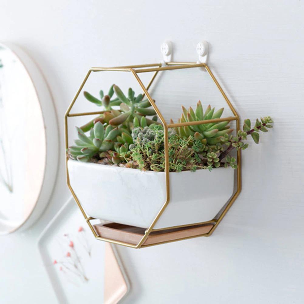 Stylish Indoor Wall Planter with Modern Frame and Tray