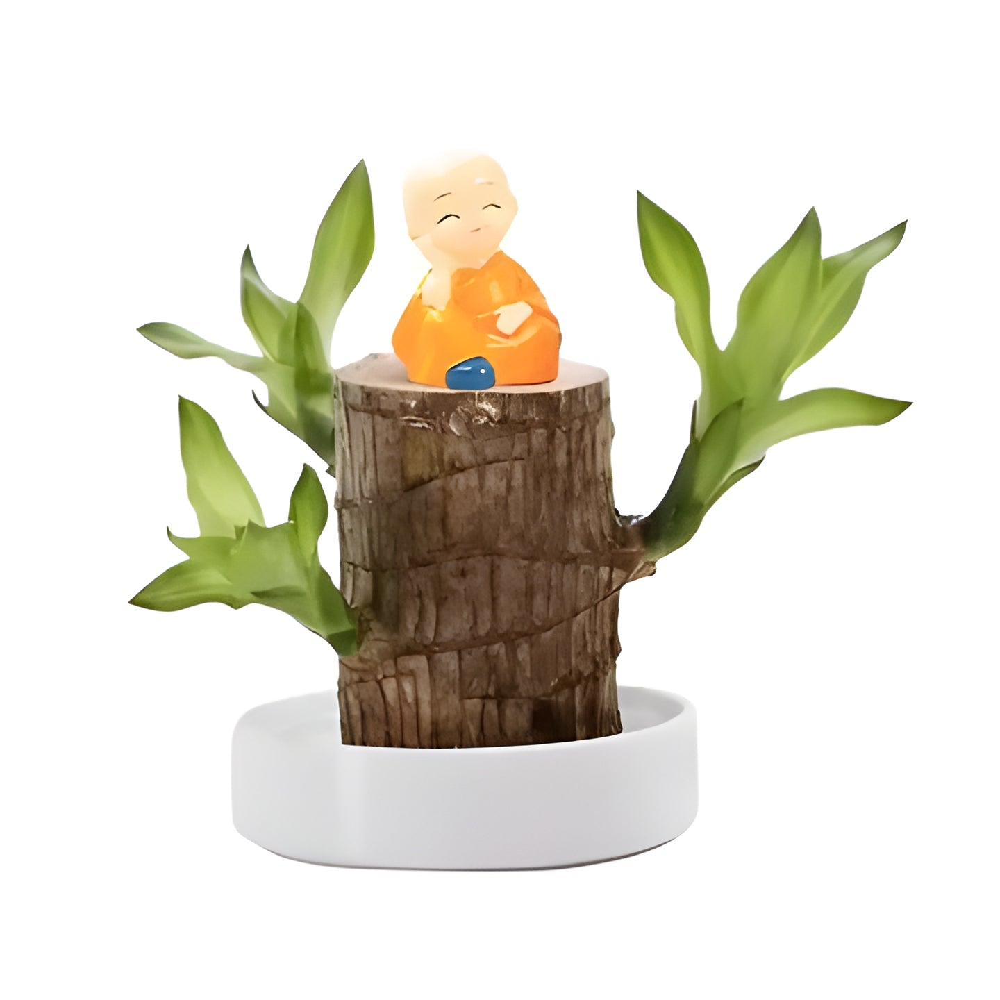 Elegant Indoor Potted Houseplant for Low Light Spaces