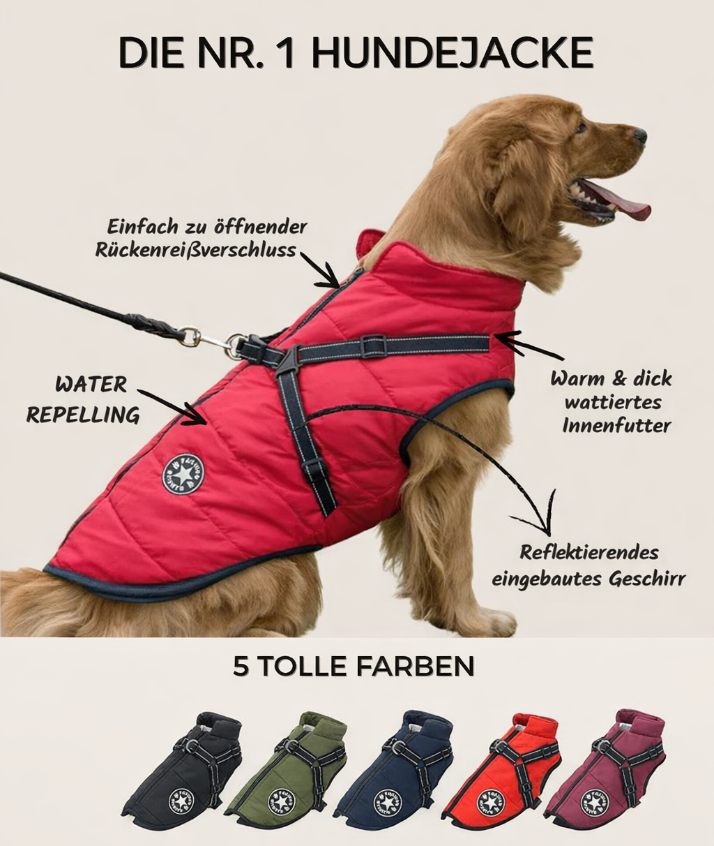Dog Jacket | Water- & Wind-Resistant | Built-in Harness