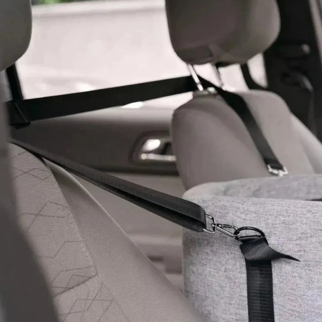 Elevated Dog Car Seat with Secure Straps for Safety