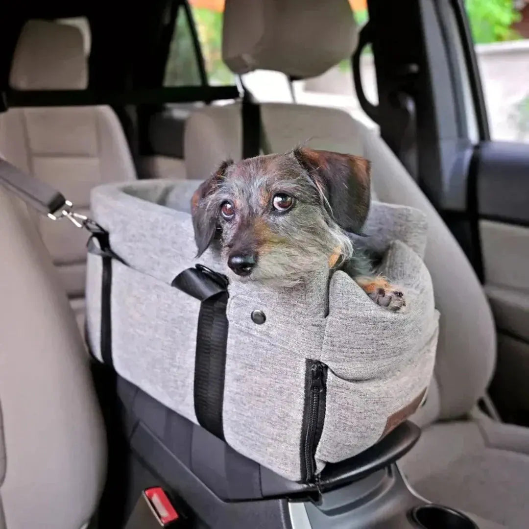 Elevated Dog Car Seat with Secure Straps for Safety