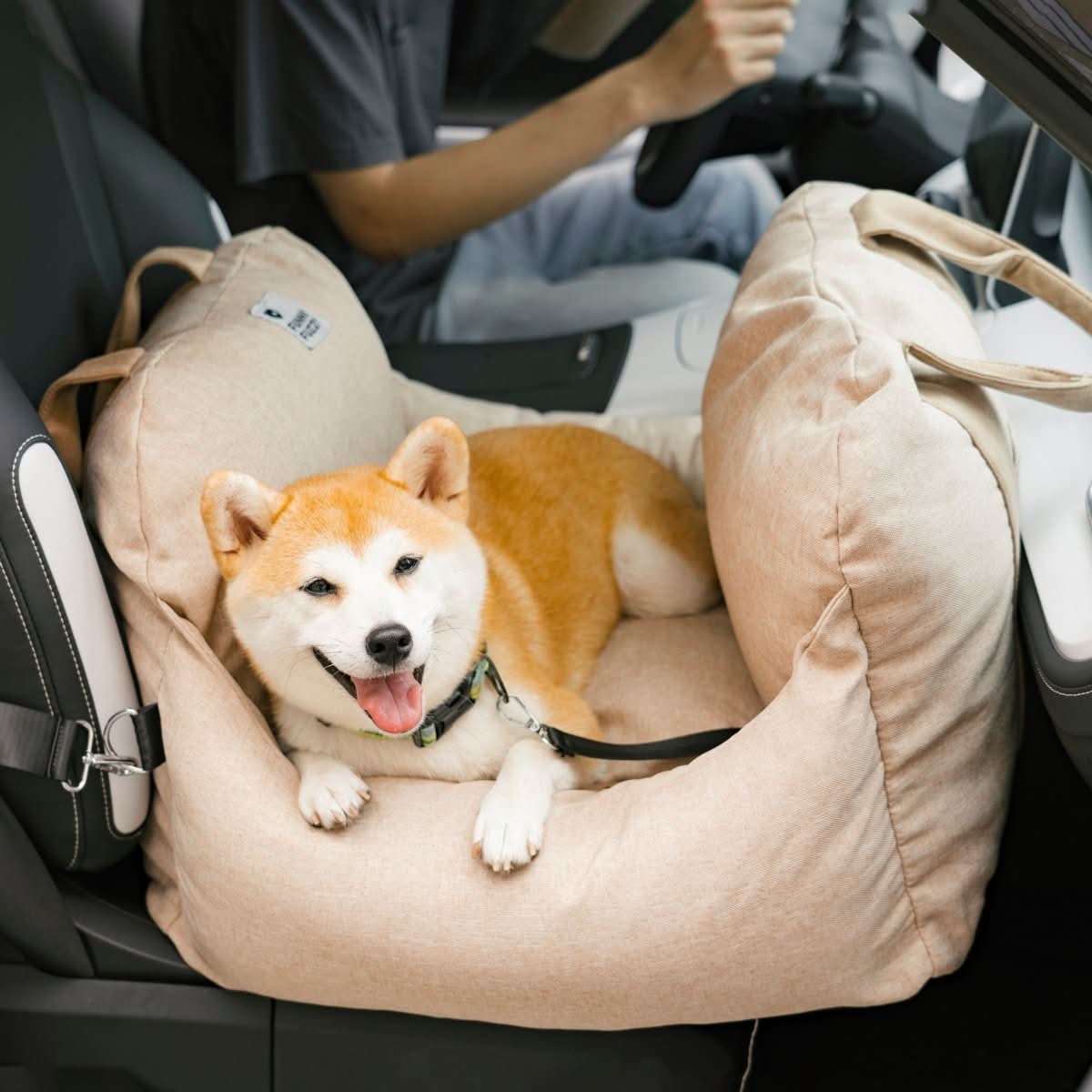 Pet Travel Bed with Secure Harness & Anti-Slip Base for Cozy Journeys