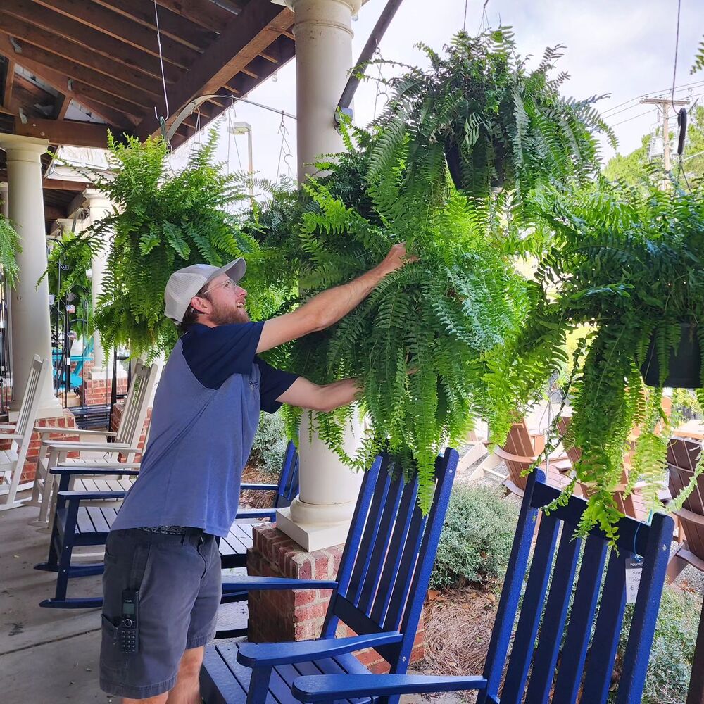 Realistic Faux Ferns for Effortless Indoor and Outdoor Style