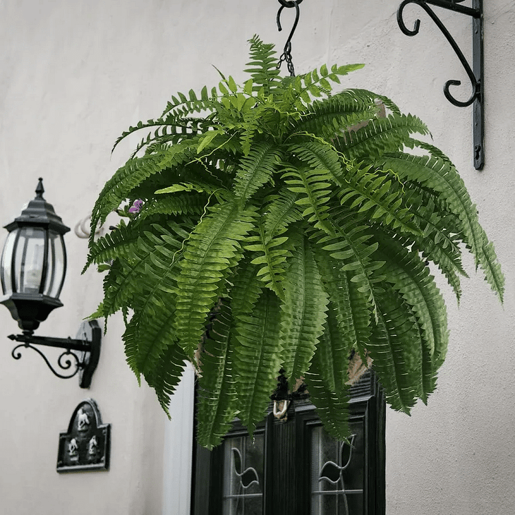 LushGreen™ UV-Proof Artificial Fern for All Environments