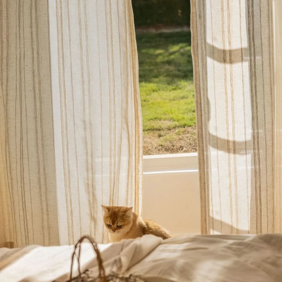 Sheer Linen Curtains with Stripes