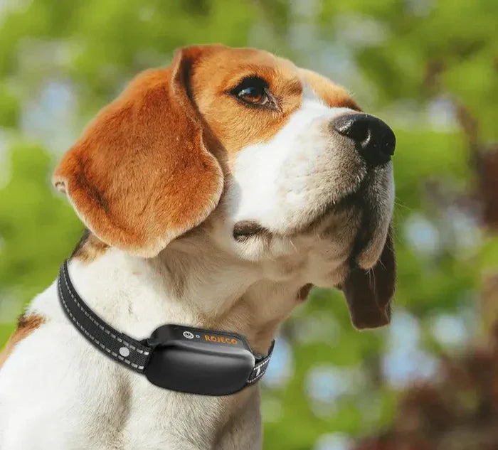 Smart Dog Training Collar with 1000m Range & Custom Modes