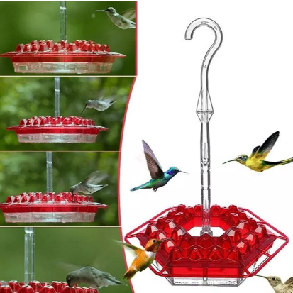 Leak-Proof Bird Feeder Featuring Multiple Perches