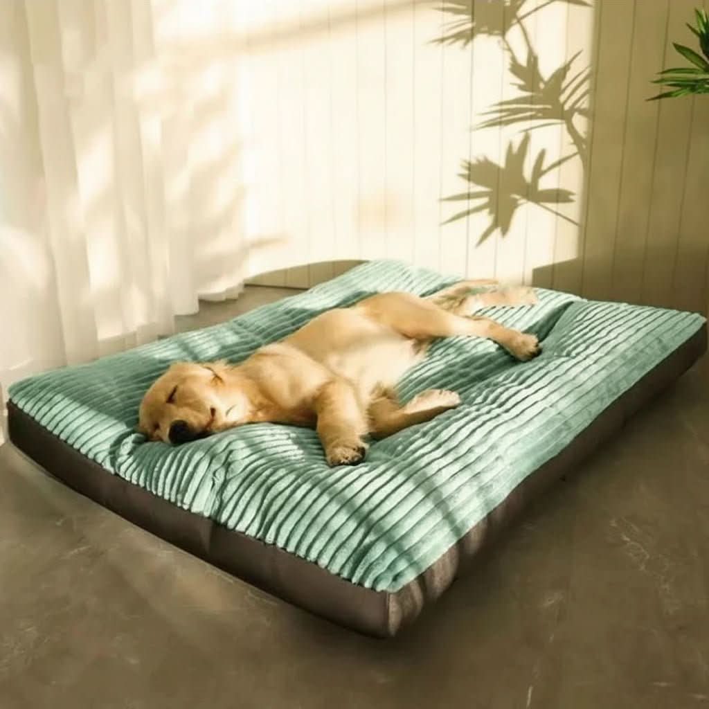 Orthopedic Dog Bed for Joint Support – Soft Cushion Comfort