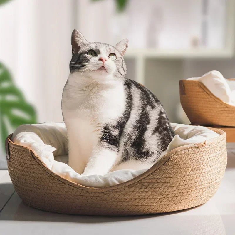 Sustainable Cat Resting Lounge with Soft Cotton Fabric