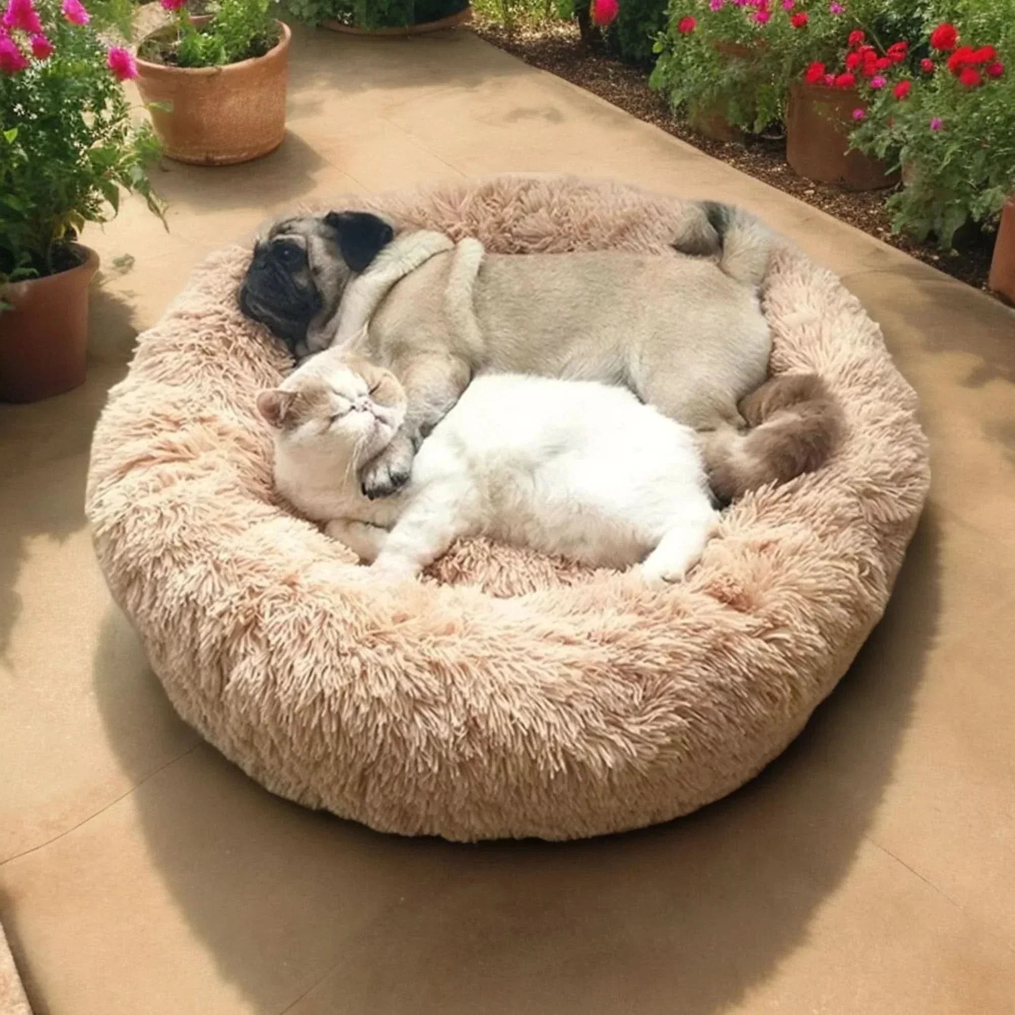 Cozy Comfort Dog Bed for Ultimate Relaxation and Sleep