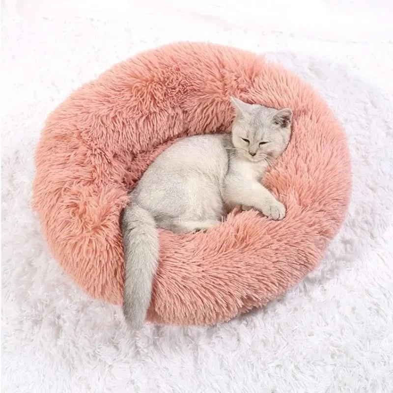 Cozy Comfort Dog Bed for Ultimate Relaxation and Sleep