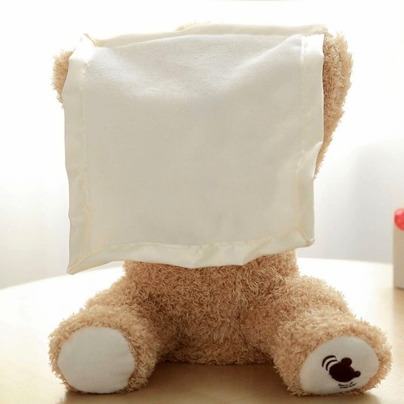 Hide and Seek Teddy Bear Toy