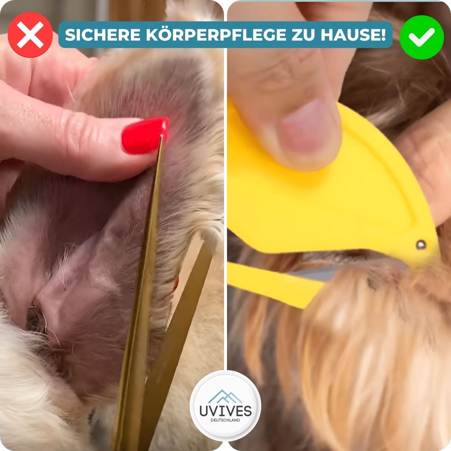 Flea Remover for Cats and Dogs - Pet Care Solution