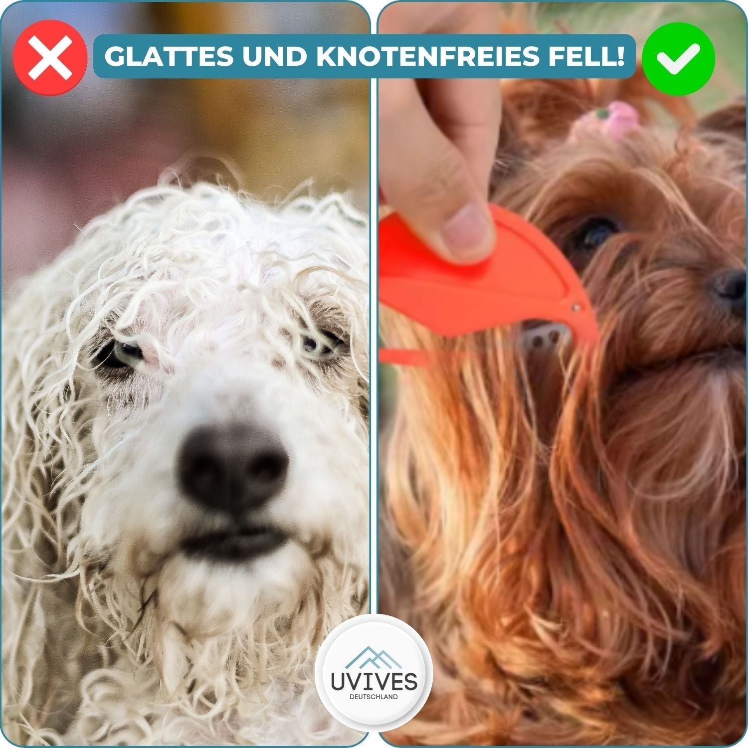 Flea Remover for Cats and Dogs - Pet Care Solution