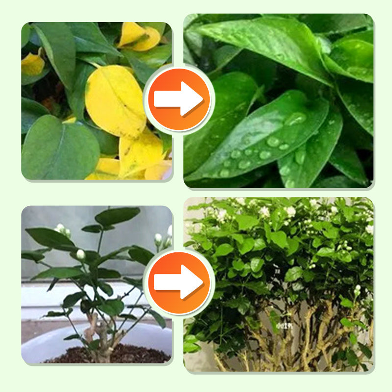 Plant Nutrition | Even Nutrient Distribution | Easy Plug-In