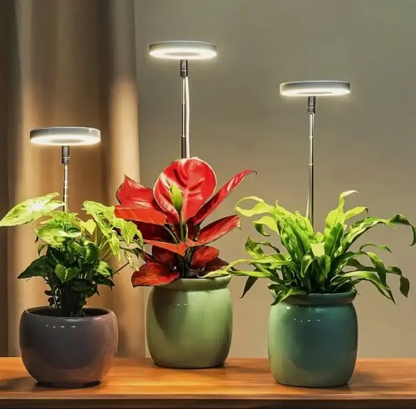 Full Spectrum Plant Growth Lamp with Timer and Dimming Function