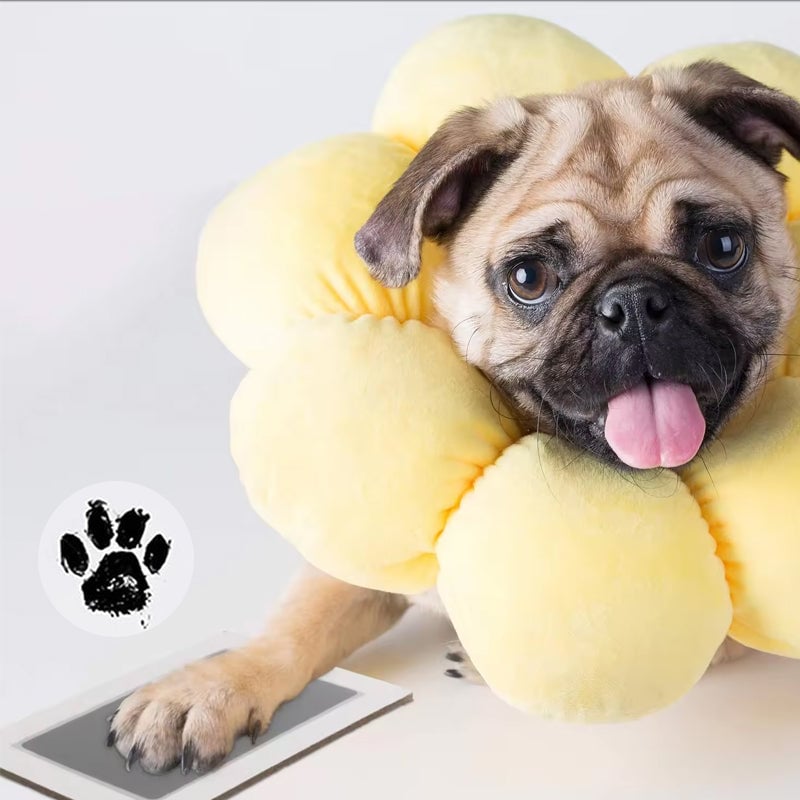 Paw Print Kit for Dogs and Cats