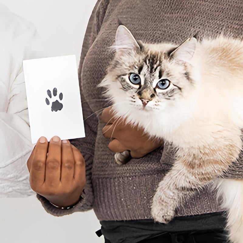 Paw Print Kit for Dogs and Cats