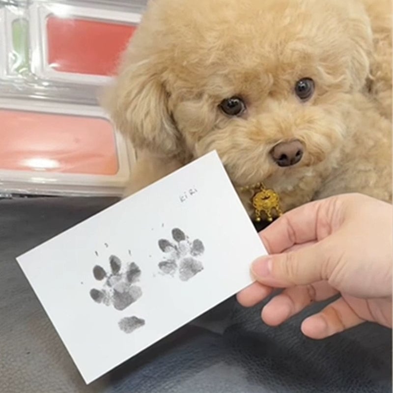 Paw Print Kit for Dogs and Cats