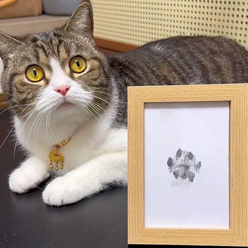 Paw Print Kit for Dogs and Cats