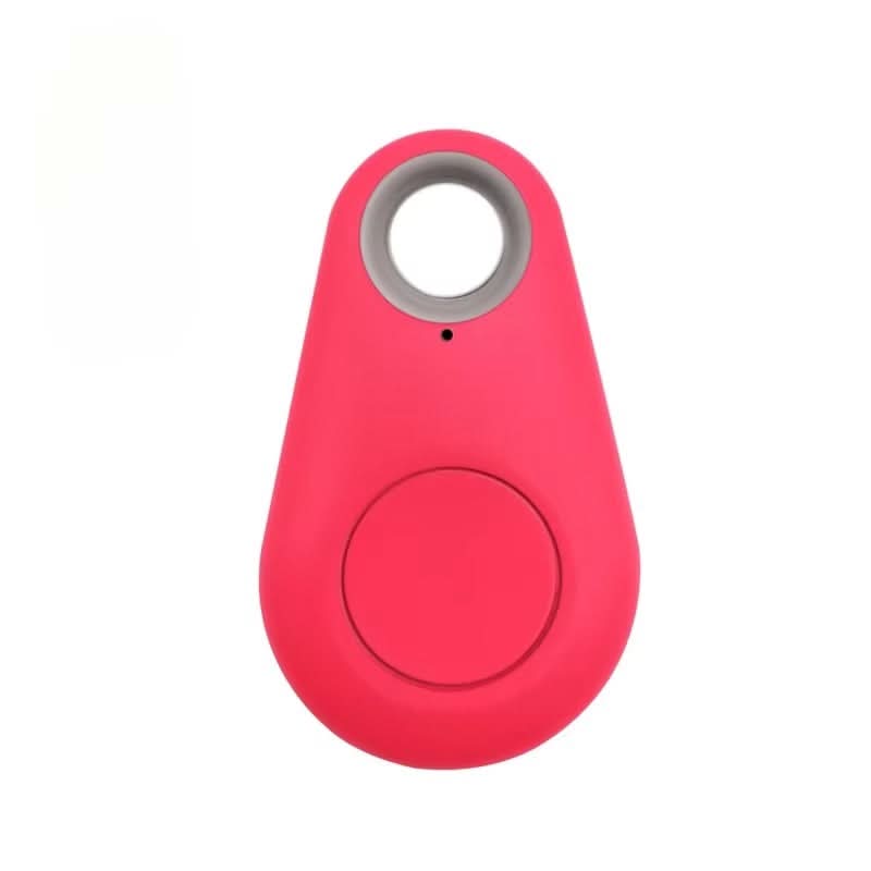 Real-Time GPS Locator for Pets and Valuables