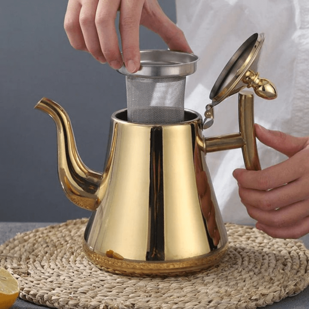 SleekSteel Induction Kettle with Integrated Purification Filter