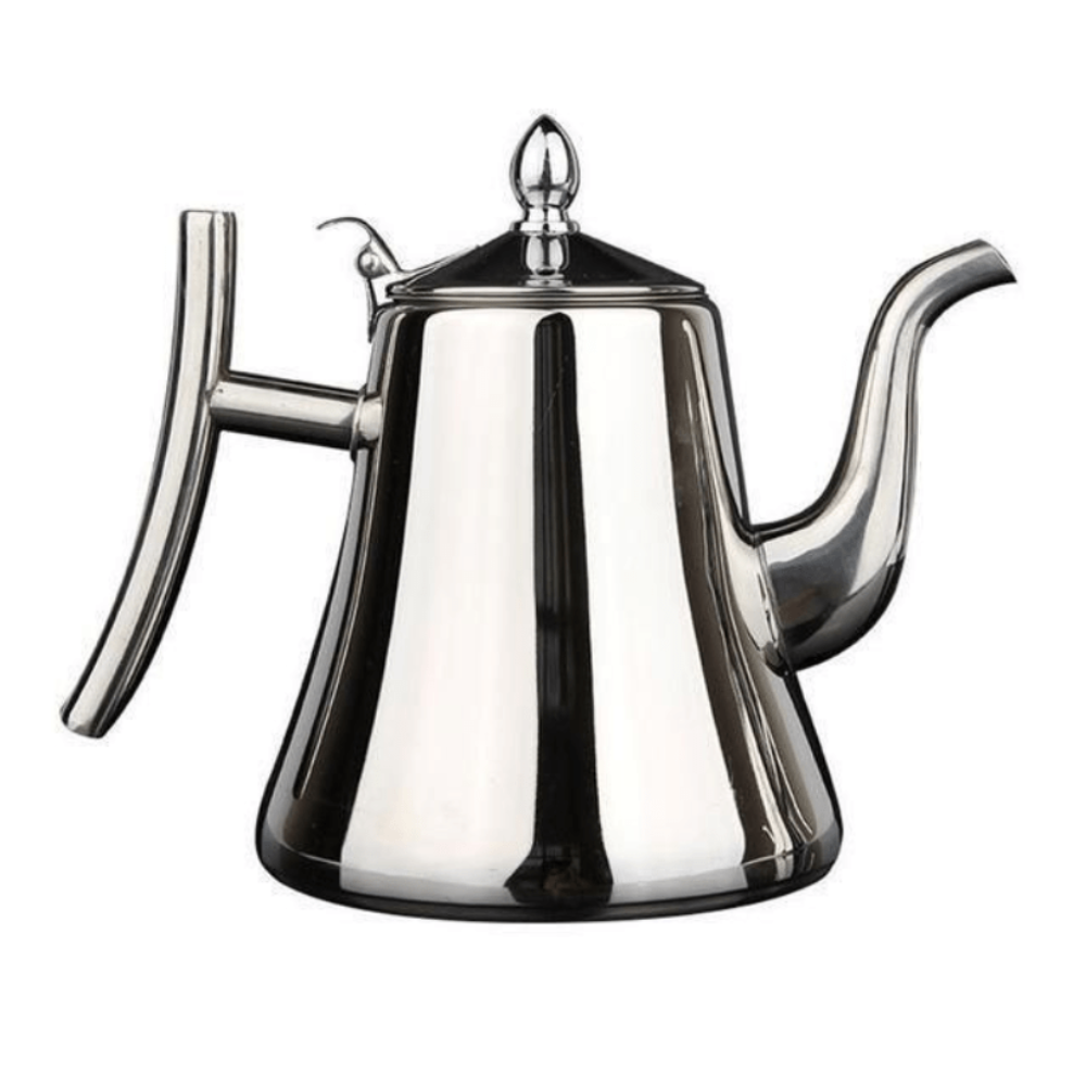 SleekSteel Induction Kettle with Integrated Purification Filter