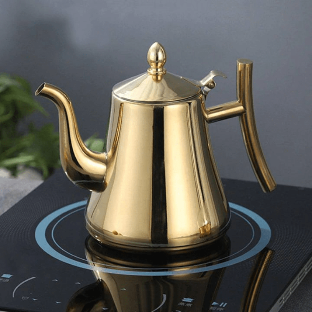 SleekSteel Induction Kettle with Integrated Purification Filter
